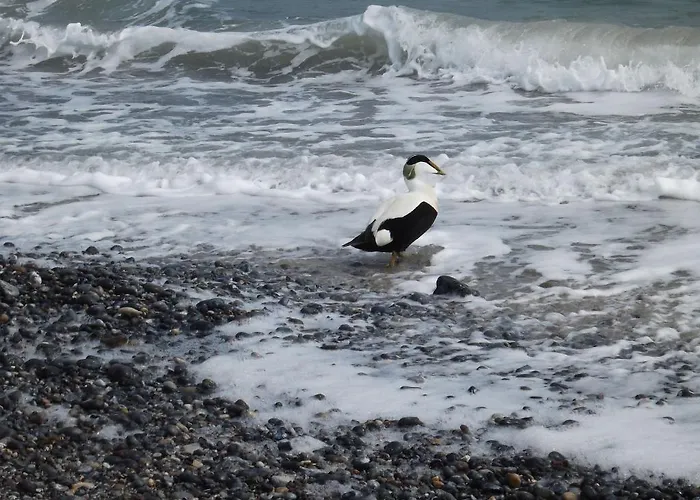 Rungholt Hotell Heligoland